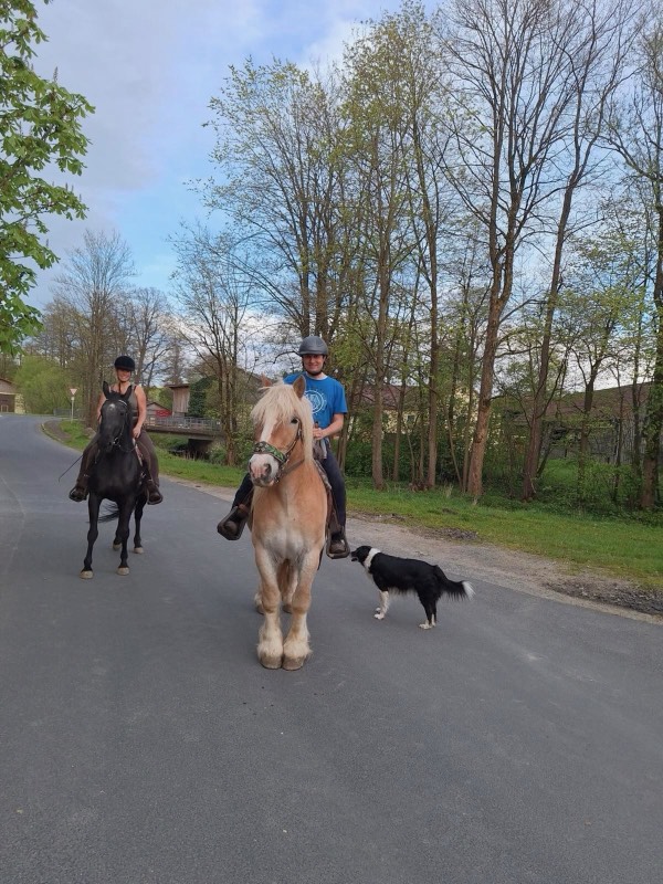 Ausreiten auf dem Franzenhof mit Hund