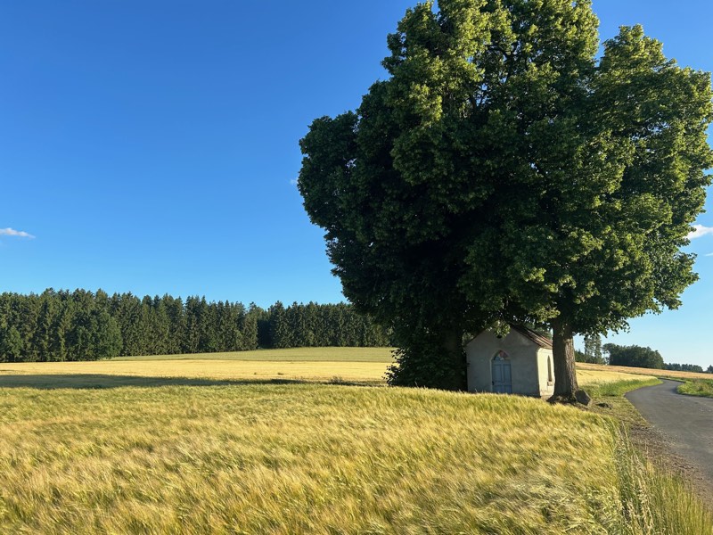 Einblick vom Hof