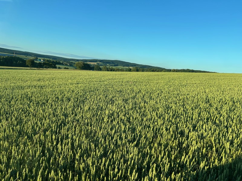Einblick vom Hof